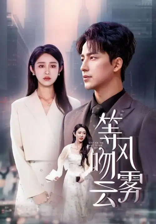 雾港谜案海报